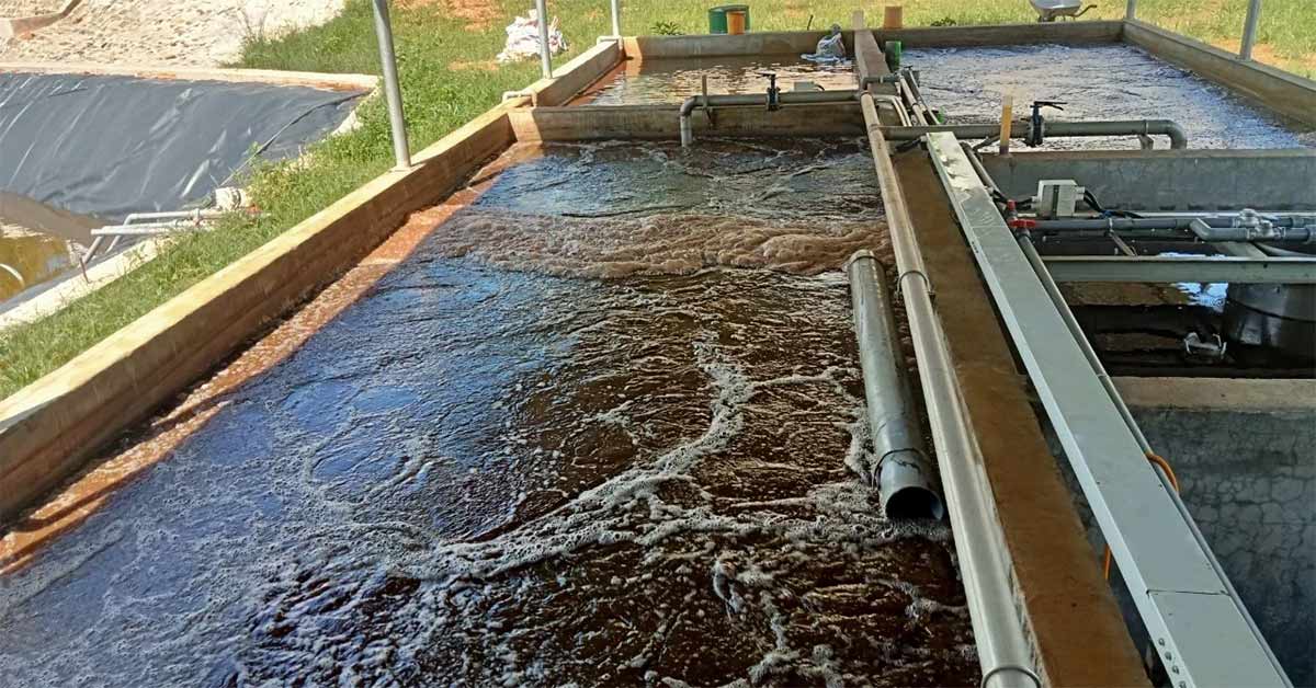 Hệ thống xử lý nước thải nông nghiệp