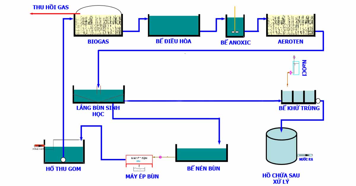 Quy trình xử lý nước thải trang trại heo đạt chuẩn kỹ thuật
