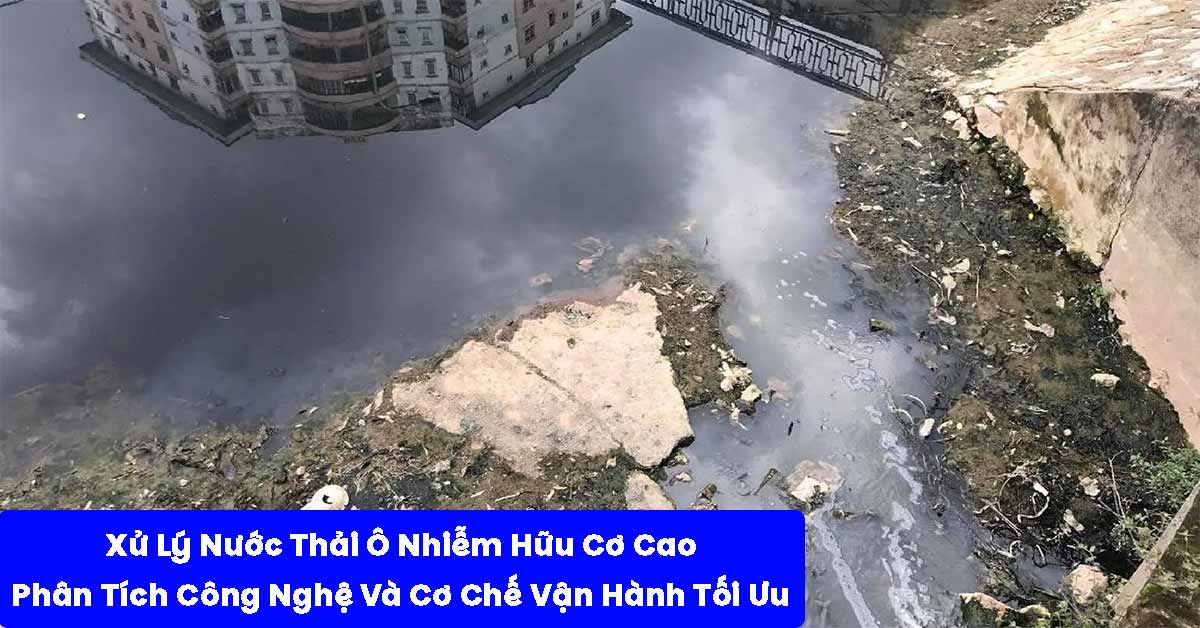 Xử Lý Nước Thải Ô Nhiễm Hữu Cơ Cao: Phân Tích Công Nghệ Và Cơ Chế Vận Hành Tối Ưu