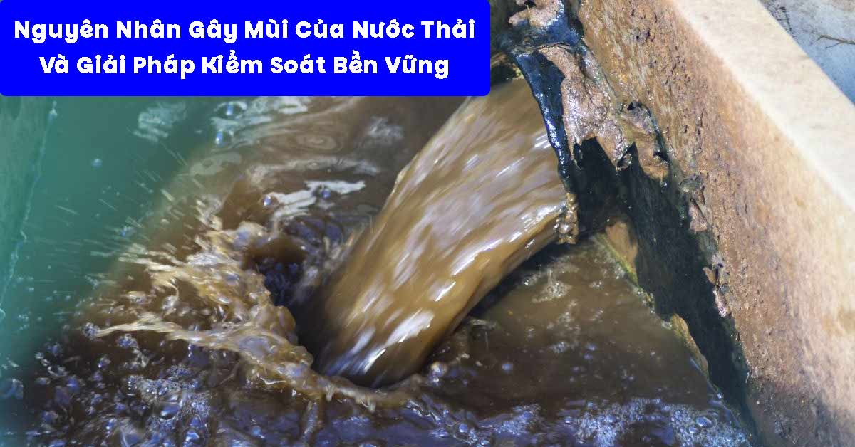 Nguyên Nhân Gây Mùi Của Nước Thải Và Giải Pháp Kiểm Soát Bền Vững
