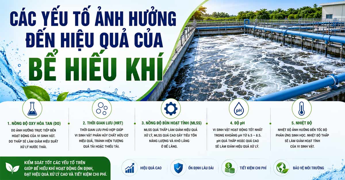 Các yếu tố ảnh hưởng đến hiệu quả của bể hiếu khí
