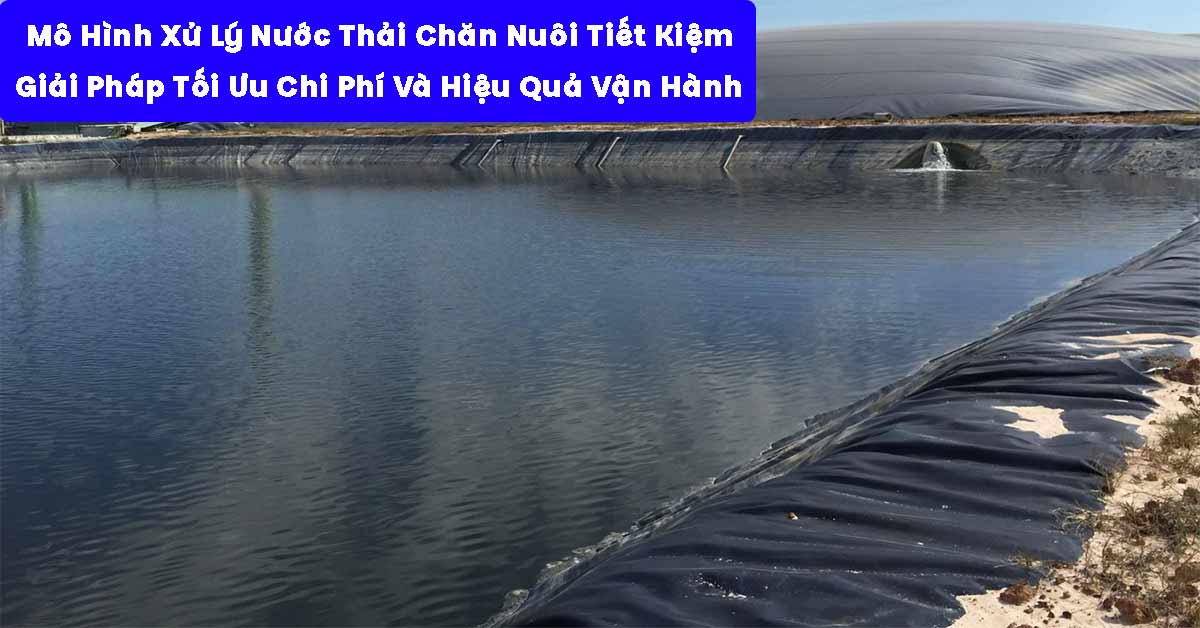 Mô Hình Xử Lý Nước Thải Chăn Nuôi Tiết Kiệm: Giải Pháp Tối Ưu Chi Phí Và Hiệu Quả Vận Hành