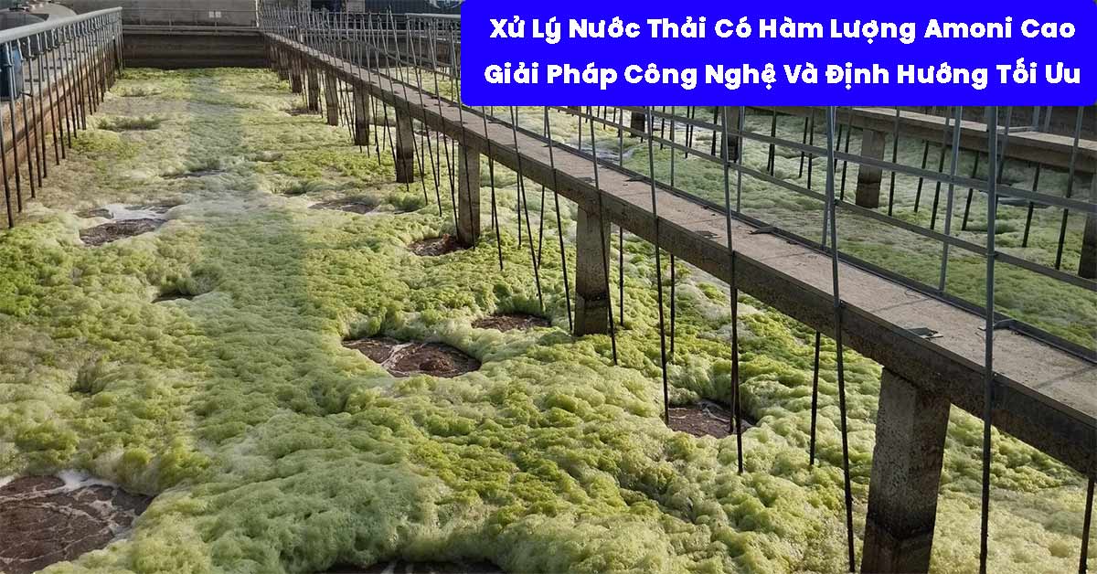 Xử Lý Nước Thải Có Hàm Lượng Amoni Cao: Giải Pháp Công Nghệ Và Định Hướng Tối Ưu