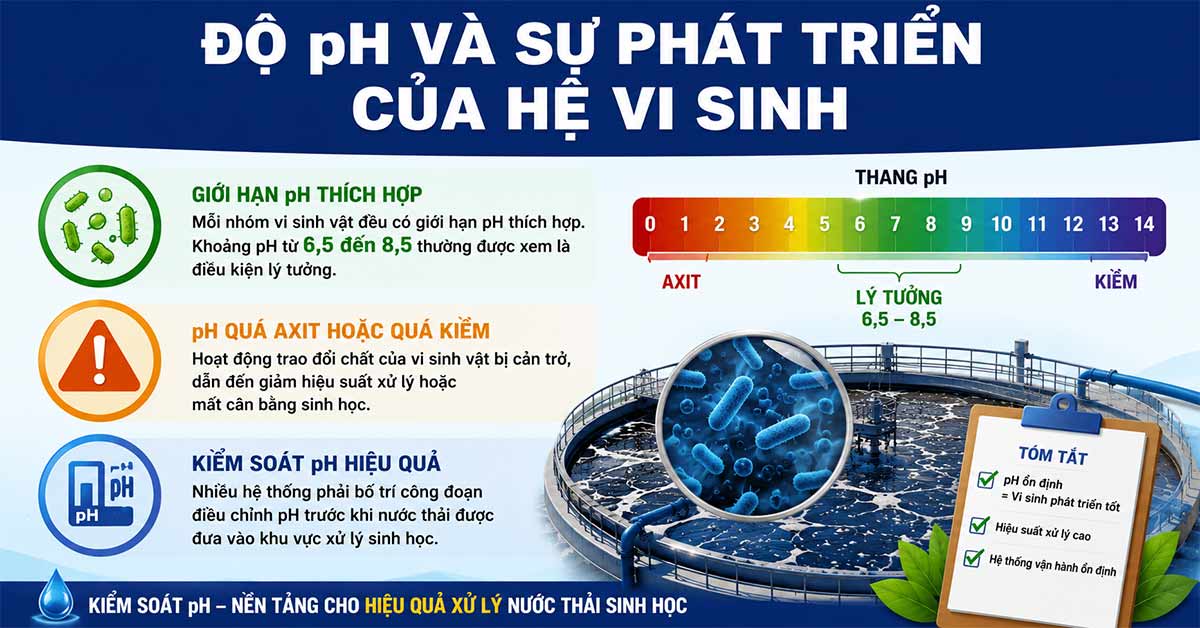 Độ pH và sự phát triển của hệ vi sinh