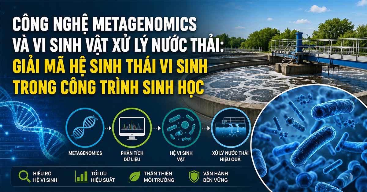 Công Nghệ Metagenomics Và Vi Sinh Vật Xử Lý Nước Thải: Giải Mã Hệ Sinh Thái Vi Sinh Trong Công Trình Sinh Học