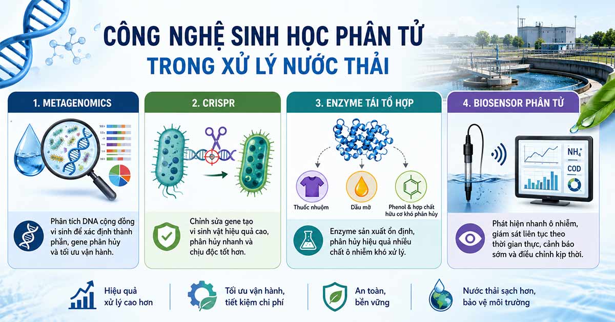 Các công nghệ sinh học phân tử được ứng dụng trong xử lý nước thải