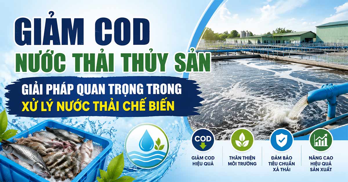 Giảm COD Nước Thải Thủy Sản – Giải Pháp Quan Trọng Trong Xử Lý Nước Thải Chế Biến