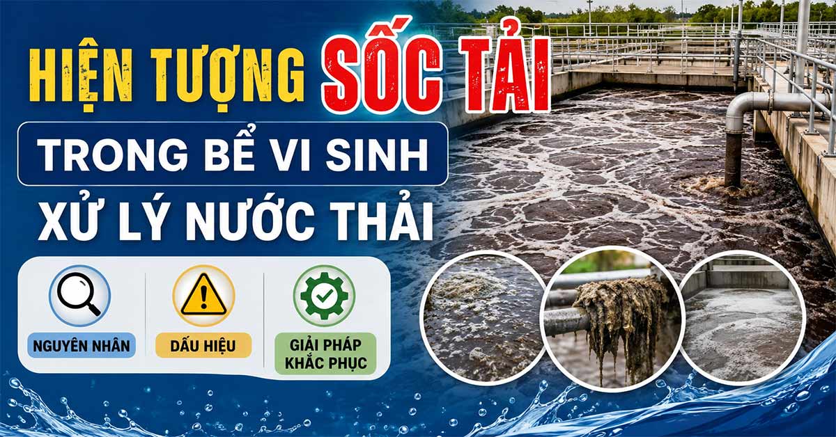 Hiện Tượng Sốc Tải Trong Bể Vi Sinh Xử Lý Nước Thải: Nguyên Nhân, Dấu Hiệu Và Giải Pháp Khắc Phục