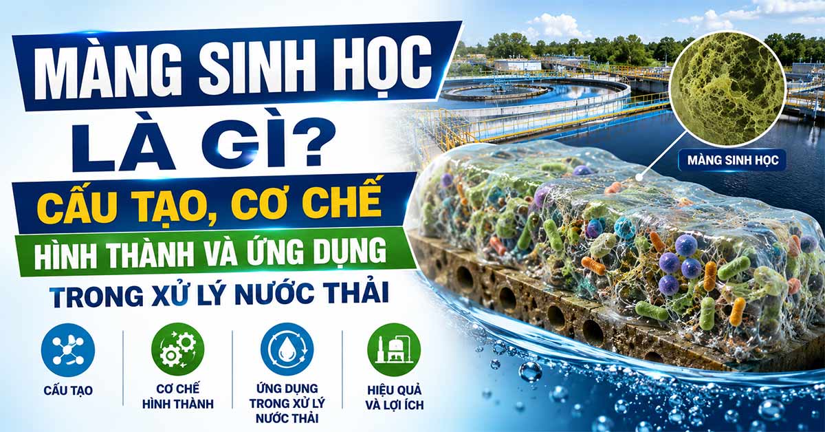 Màng Sinh Học Là Gì? Cấu Tạo, Cơ Chế Hình Thành Và Ứng Dụng Trong Xử Lý Nước Thải