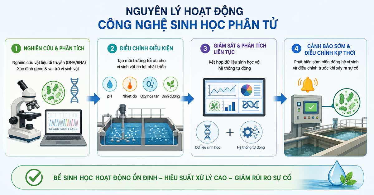Nguyên lý hoạt động của công nghệ sinh học phân tử