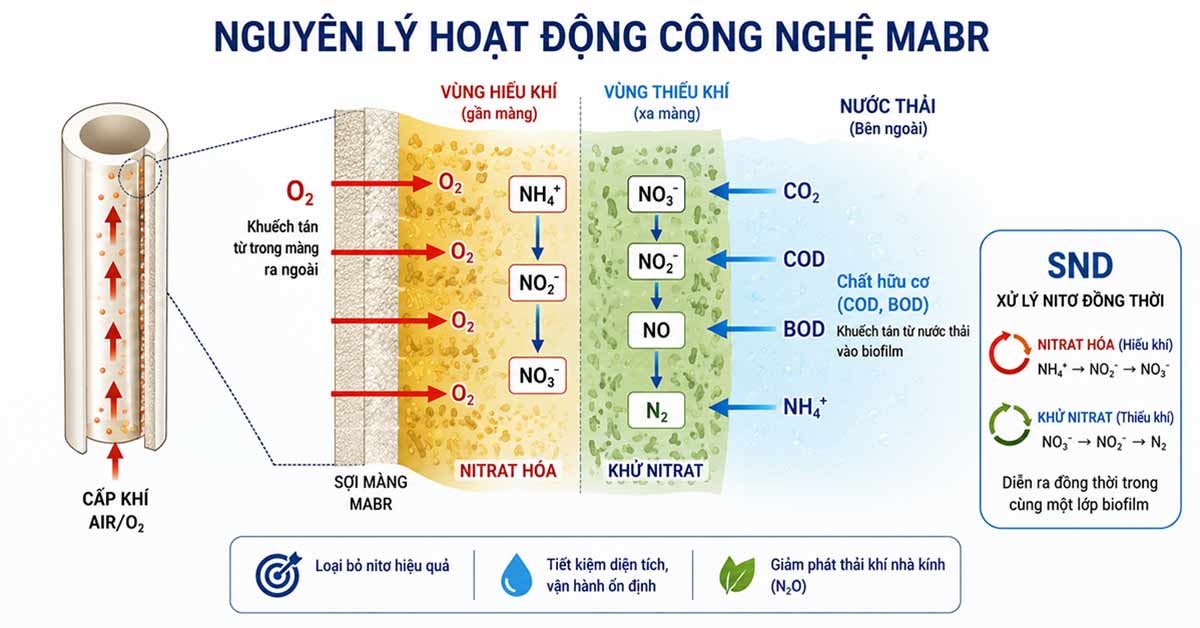 Nguyên lý hoạt động của công nghệ MABR trong xử lý nước thải