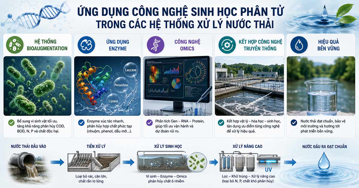 Ứng dụng công nghệ sinh học phân tử trong các hệ thống xử lý nước thải