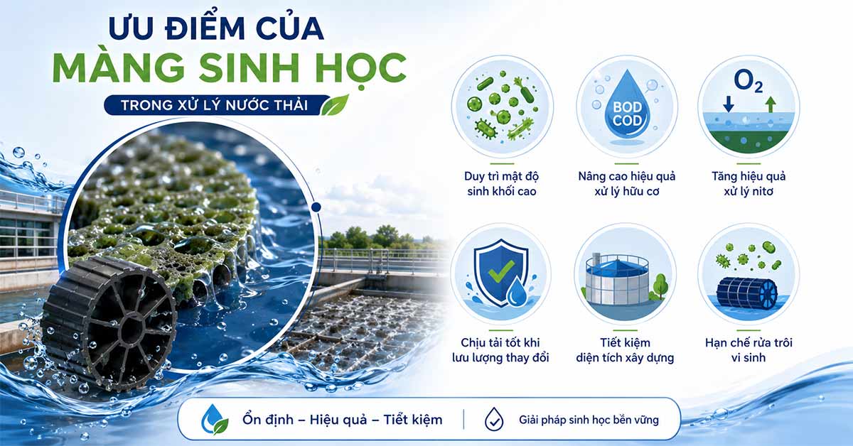 Ưu điểm của màng sinh học trong xử lý nước thải
