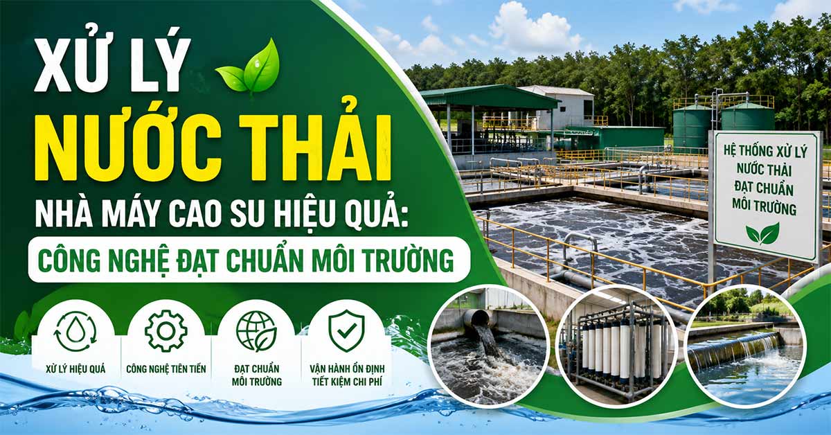 Xử Lý Nước Thải Nhà Máy Cao Su Hiệu Quả: Công Nghệ Đạt Chuẩn Môi Trường