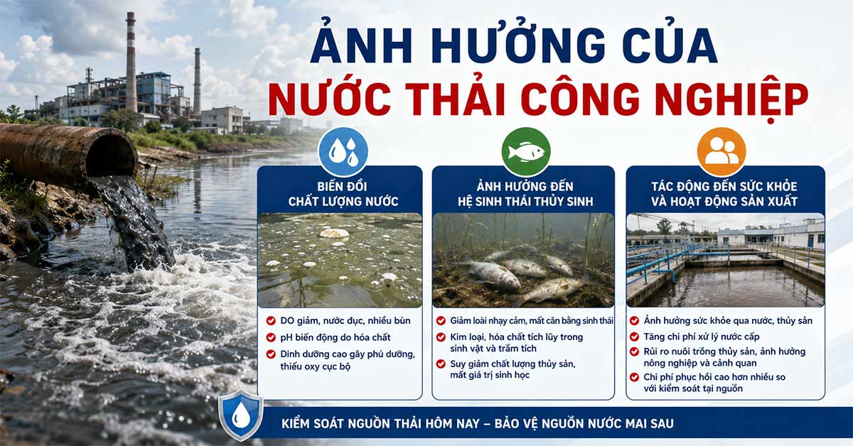 Tác động của ô nhiễm nước thải công nghiệp