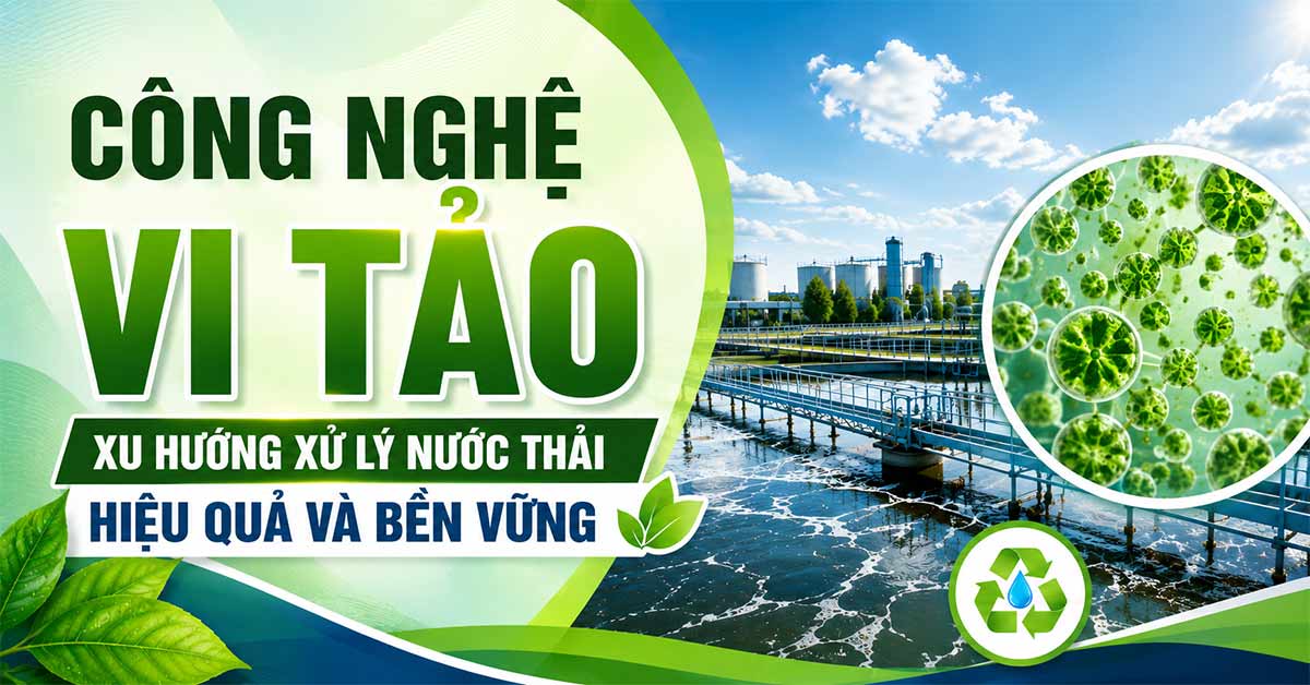 Công Nghệ Vi Tảo - Xu Hướng Xử Lý Nước Thải Hiệu Quả Và Bền Vững