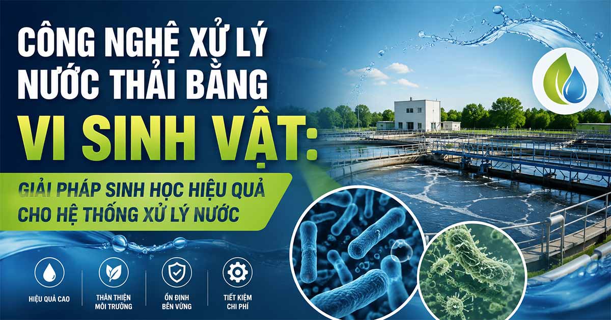 Công Nghệ Xử Lý Nước Thải Bằng Vi Sinh Vật: Giải Pháp Sinh Học Hiệu Quả Cho Hệ Thống Xử Lý Nước