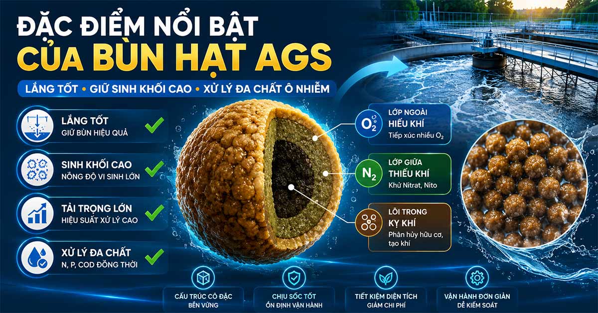 Đặc điểm nổi bật của bùn hạt