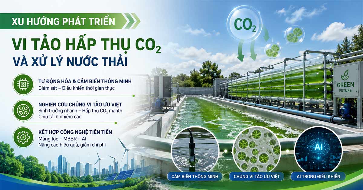 Xu hướng phát triển của vi tảo hấp thụ CO₂ và xử lý nước thải