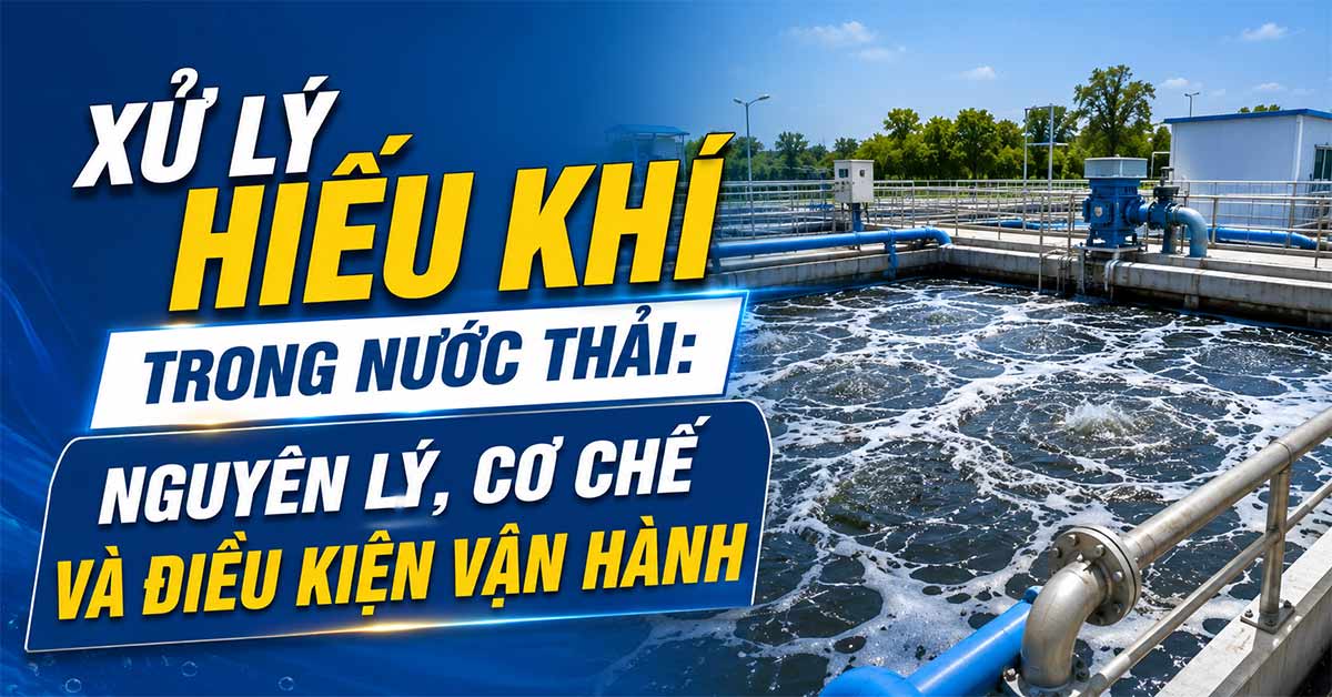 Xử Lý Hiếu Khí Trong Nước Thải: Nguyên Lý, Cơ Chế Và Điều Kiện Vận Hành