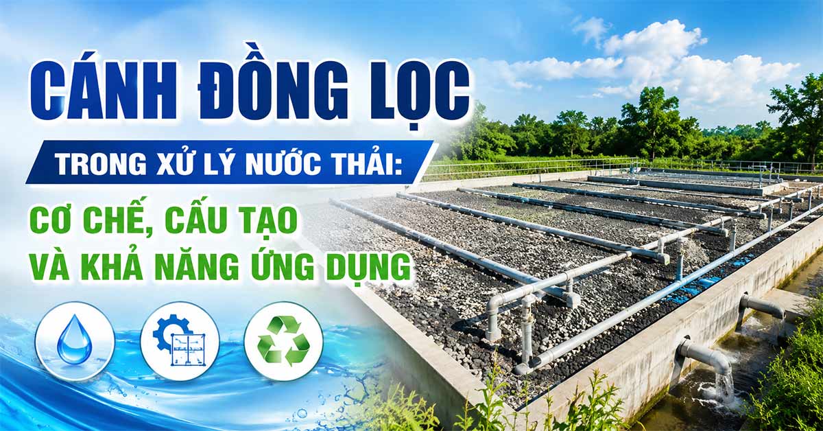 Cánh Đồng Lọc Trong Xử Lý Nước Thải: Cơ Chế, Cấu Tạo Và Khả Năng Ứng Dụng