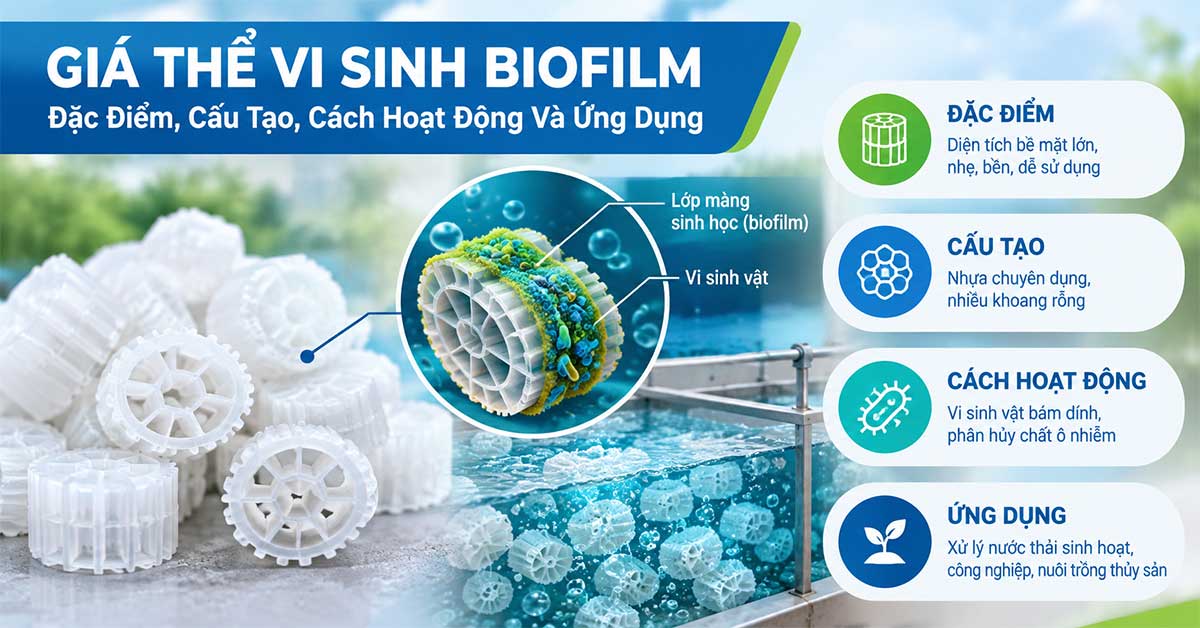 Giá Thể Vi Sinh Biofilm: Đặc Điểm, Cấu Tạo, Cách Hoạt Động Và Ứng Dụng