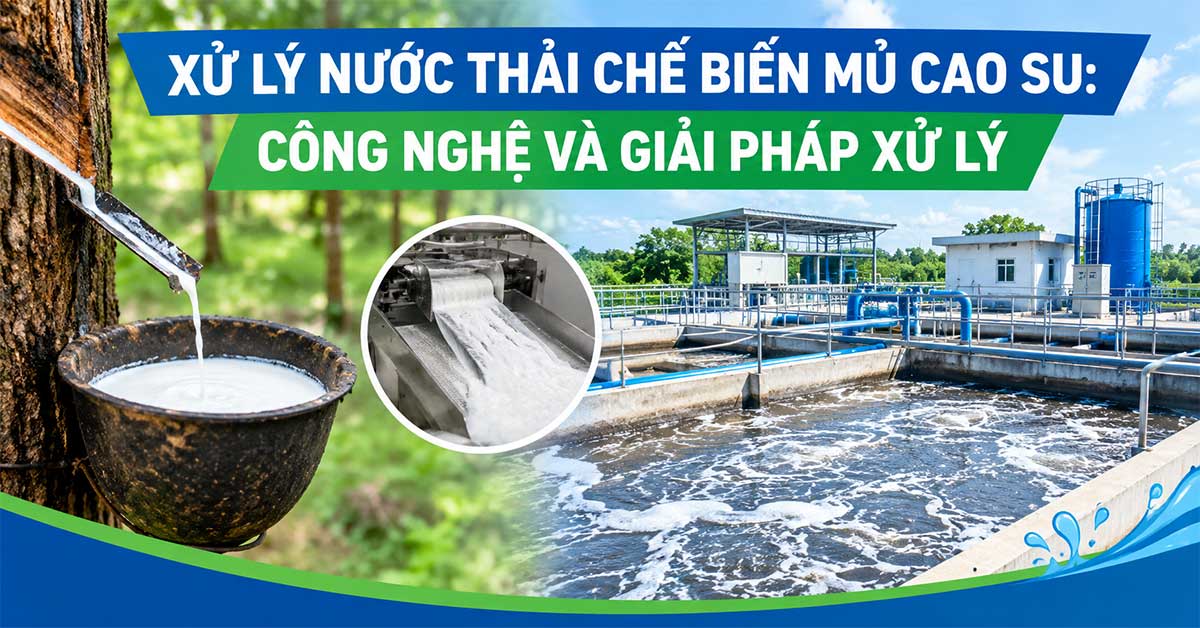 Xử Lý Nước Thải Chế Biến Mủ Cao Su: Công Nghệ Và Giải Pháp Xử Lý