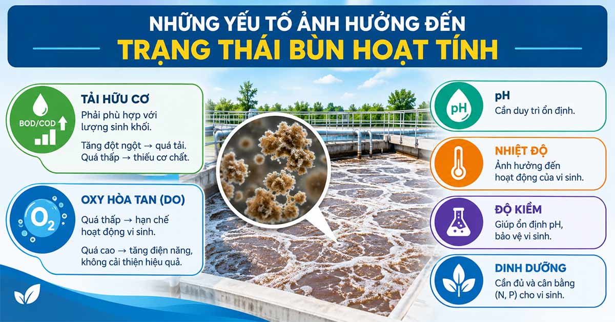 Những yếu tố ảnh hưởng đến trạng thái bùn hoạt tính
